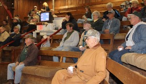 Plenty of buyers in on the bidding